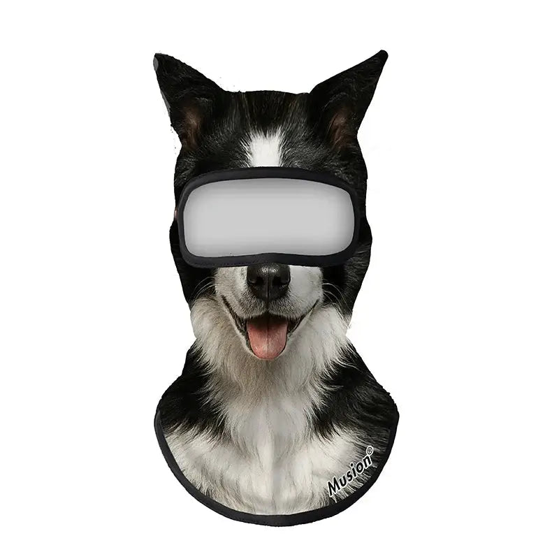 Face Ski Mask