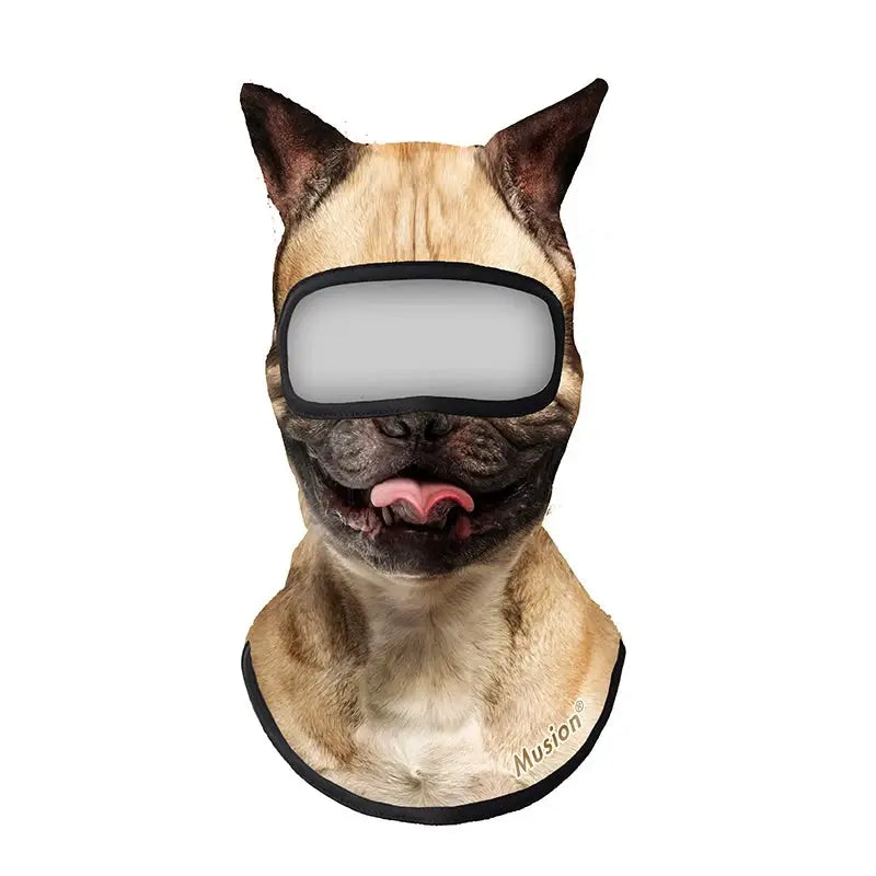 Face Ski Mask