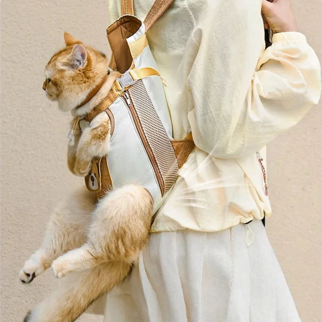 Teddy Pet Carrier