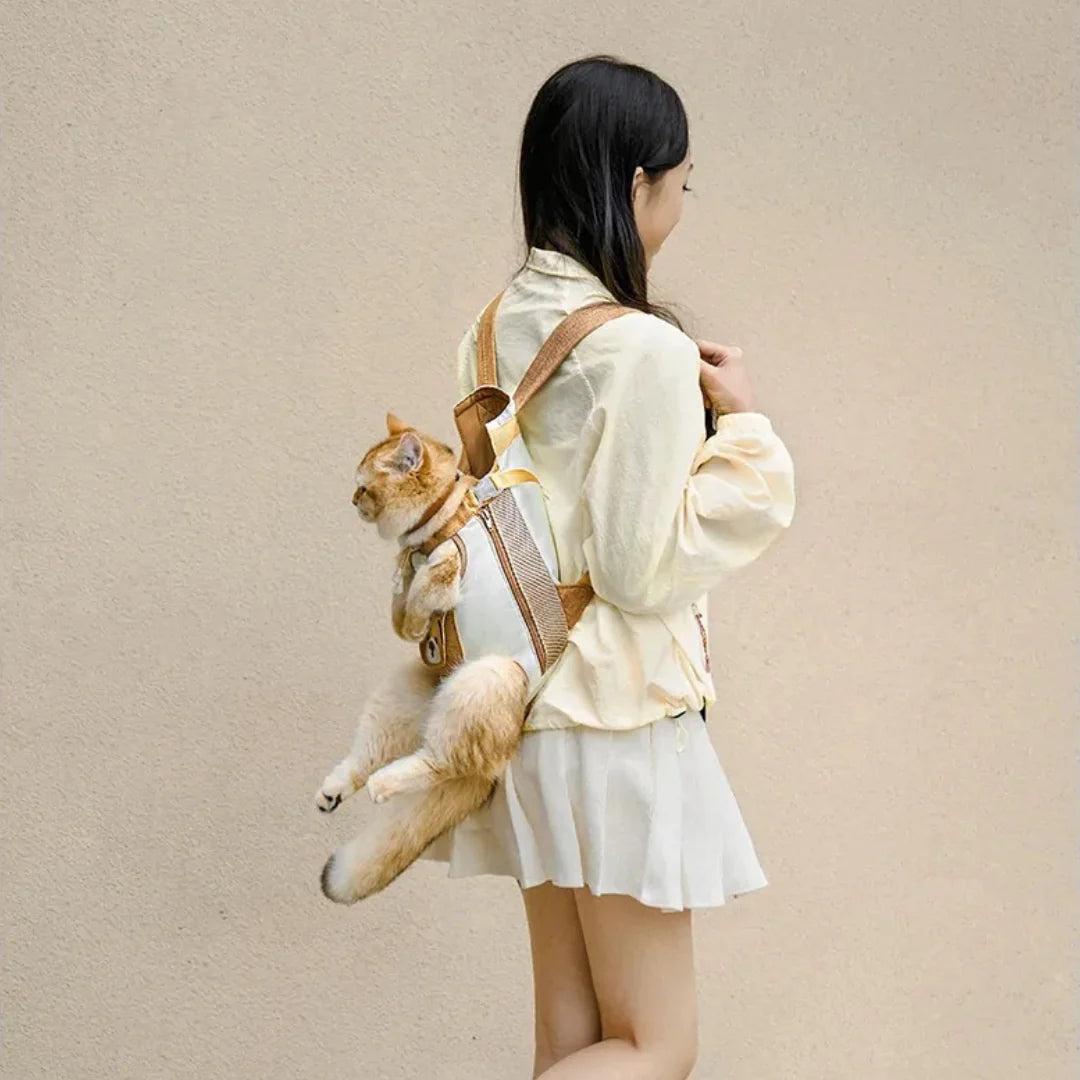 Teddy Pet Carrier