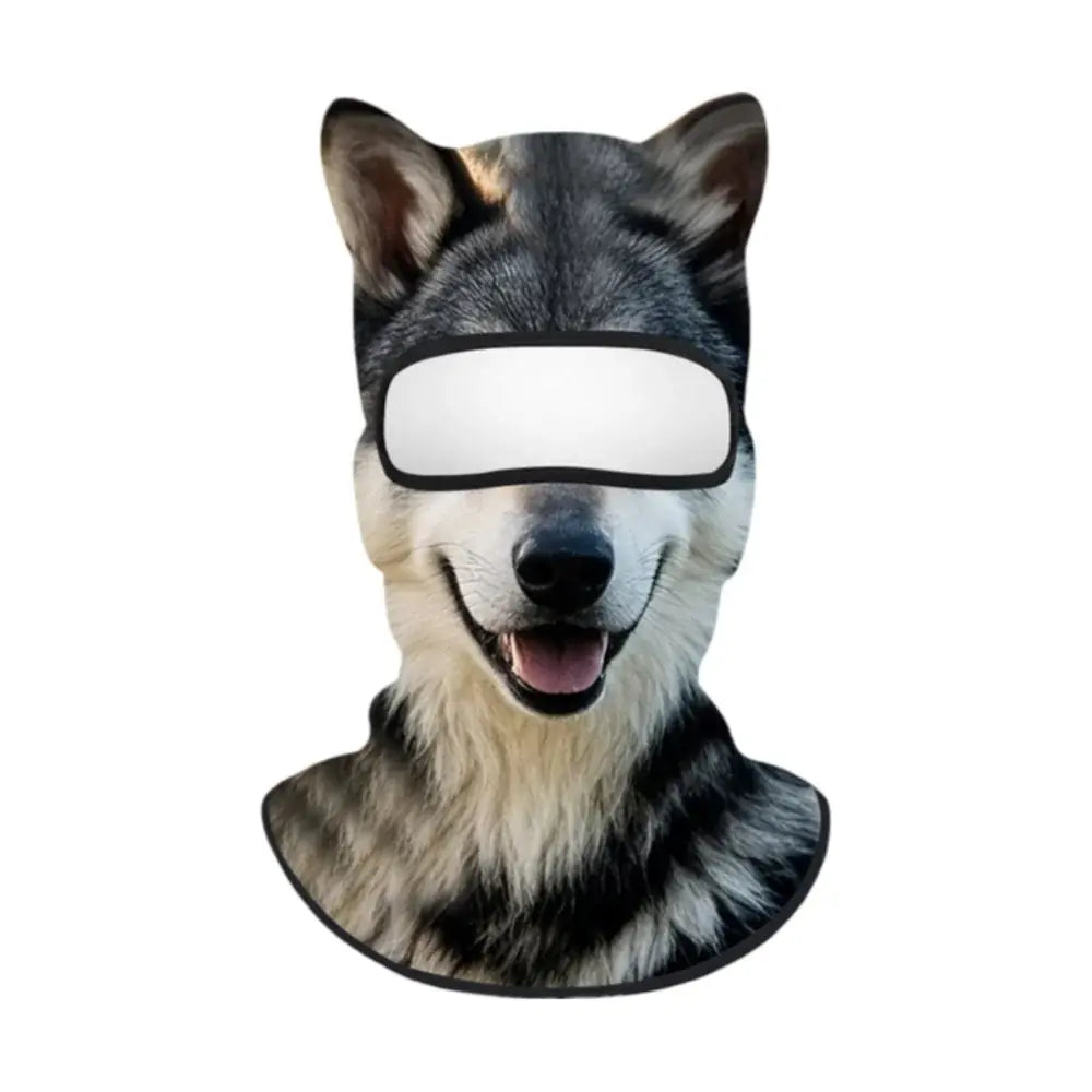 Face Ski Mask