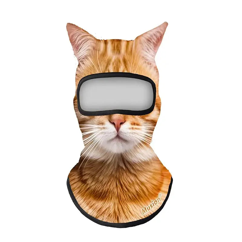 Face Ski Mask
