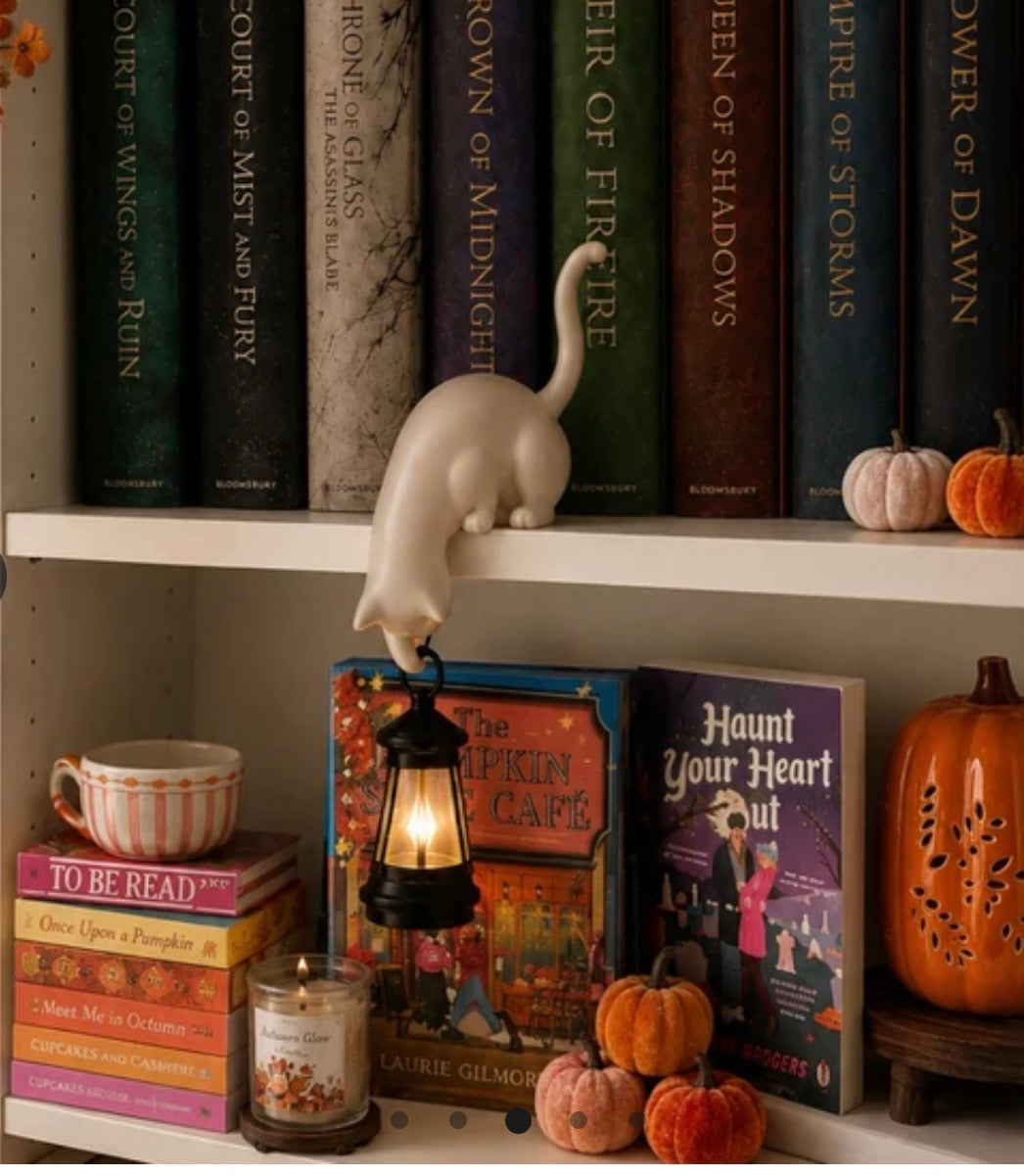 Hanging Cat Shelf Lantern