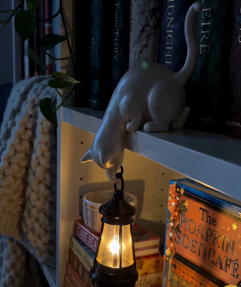 Hanging Cat Shelf Lantern